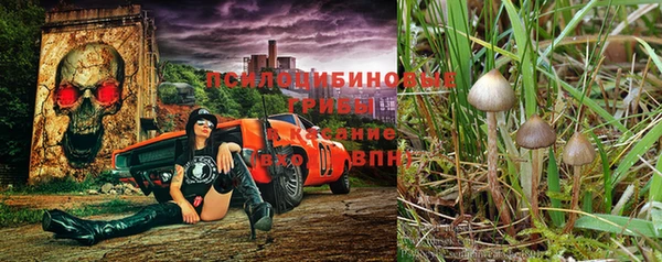 герыч Пересвет